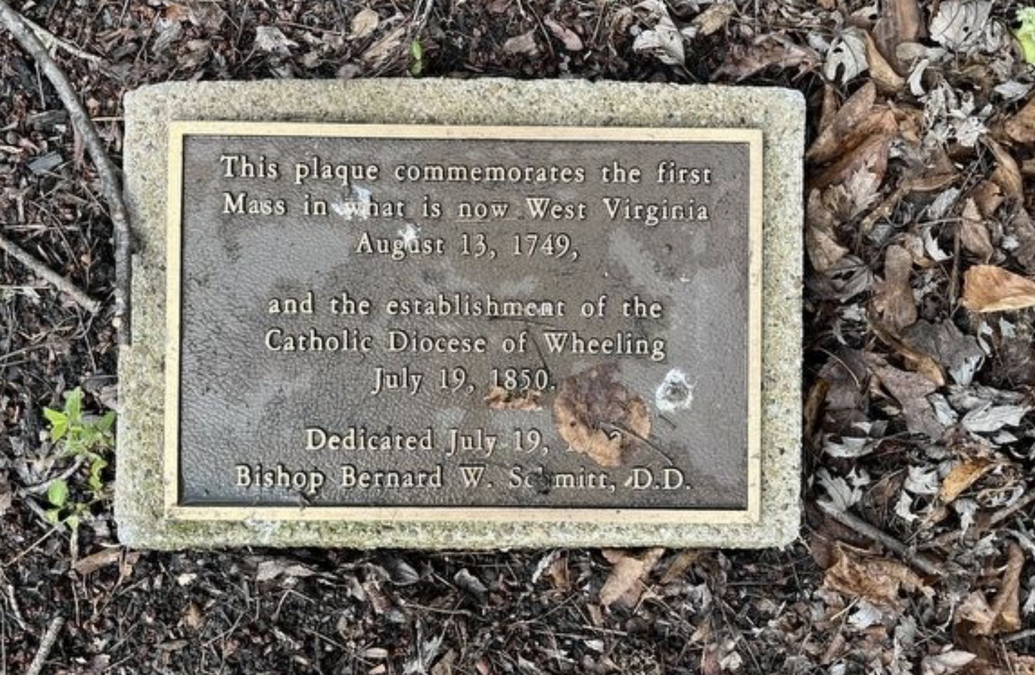 HMDB Marker